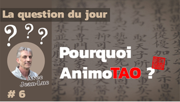 Pourquoi AnimoTAO